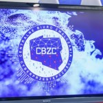 Stworzyli call center do oszustw i okradali Polaków. Międzynarodowy gang rozbity