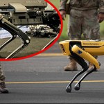 Stworzyli je, a teraz się boją. Boston Dynamics o robotach do zabijania!