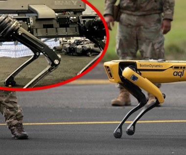 Stworzyli je, a teraz się boją. Boston Dynamics o robotach do zabijania!