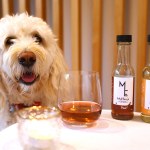 wino Stworzyli zaskakujący produkt dla psów i kotów. To bezalkoholowe wino