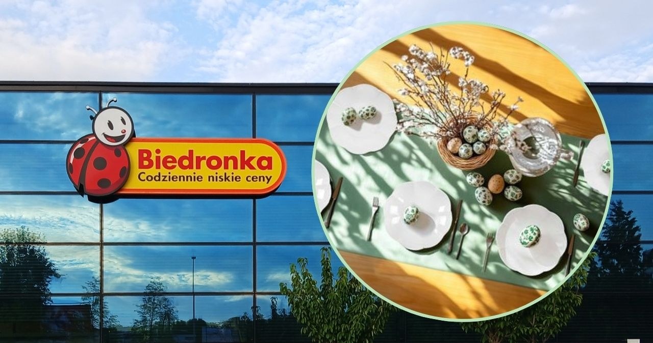 Stylowa zastawa znanej marki w Biedronce. Takiej promocji na porcelanę dawno nie było! /adobestock/Biedronka Home /INTERIA.PL