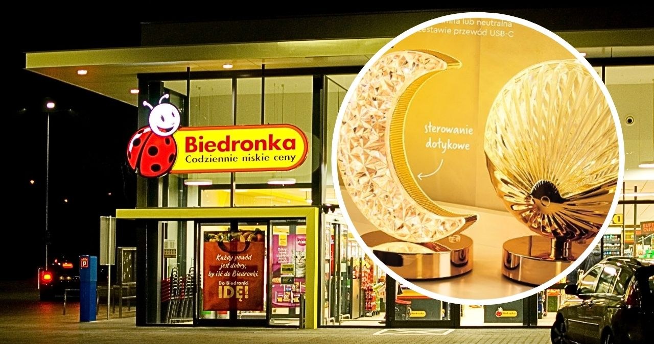 Stylowe lampy LED Lethe za mniej niż 35 zł /CanvaPro /INTERIA.PL