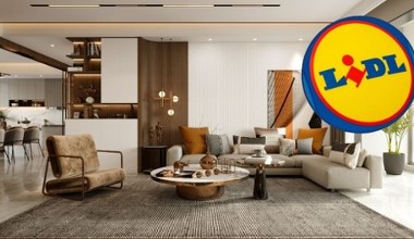 Stylowy fotel z Lidla? Zaskakująca propozycja w niskiej cenie