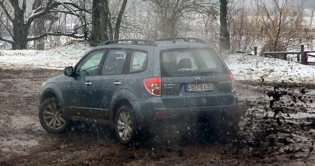 Subaru forester 2011 /INTERIA.PL