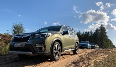 Subaru Forester i XV – hybrydy na wertepy, łąki i pola