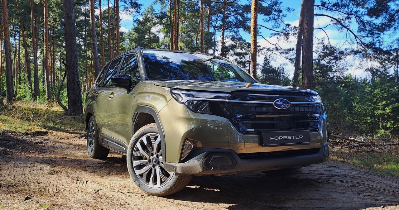 Subaru Forester szóstej generacji powoli wchodzi na rynek Europy. /Maciej Olesiuk /INTERIA.PL