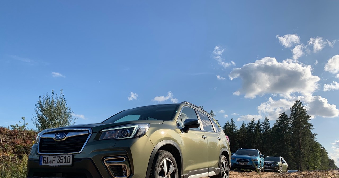 Subaru Forester /INTERIA.PL