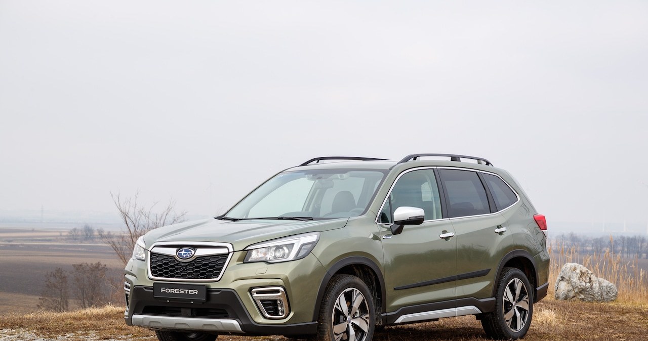 Subaru Forester /Informacja prasowa