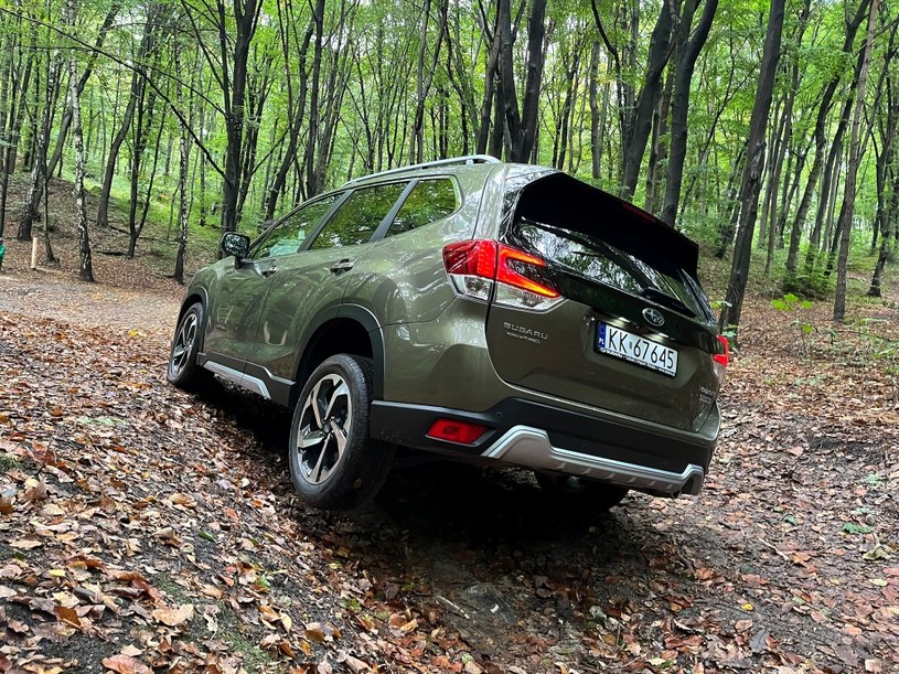 Subaru Forester /Krzysztof Mocek /INTERIA.PL