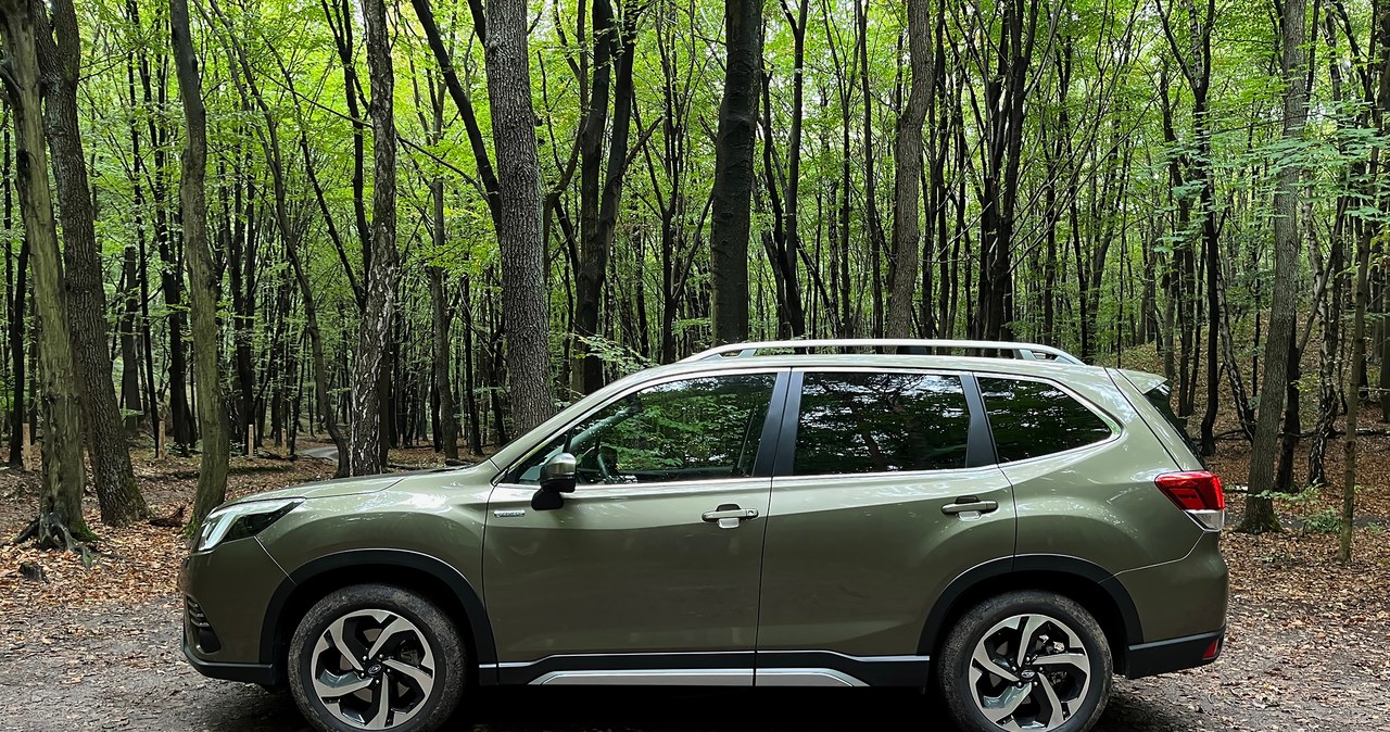 Subaru Forester /Krzysztof Mocek /INTERIA.PL