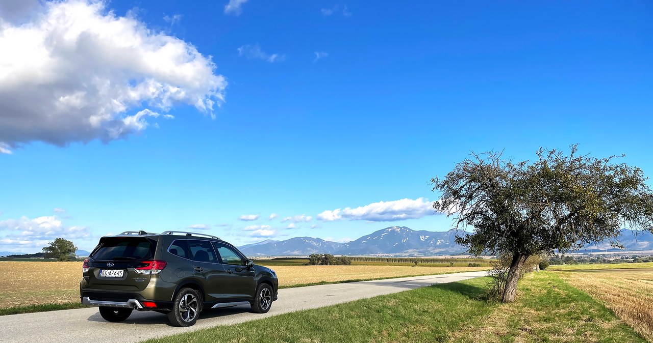 Subaru Forester /Krzysztof Mocek /INTERIA.PL