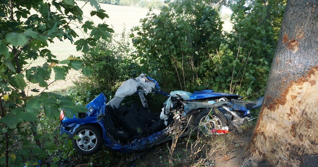 Subaru uderzyło w drzewo /Policja