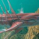 Subnautica: Sprzedano ponad 5 milionów egzemplarzy