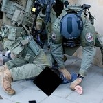 Substancje zakazane w puszkach z karmą dla zwierząt. Służby rozbiły grupę przestępczą