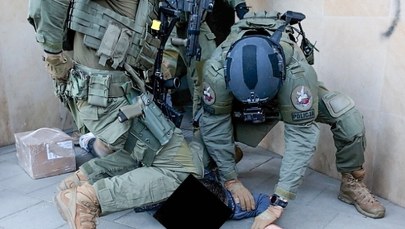 Substancje zakazane w puszkach z karmą dla zwierząt. Służby rozbiły grupę przestępczą