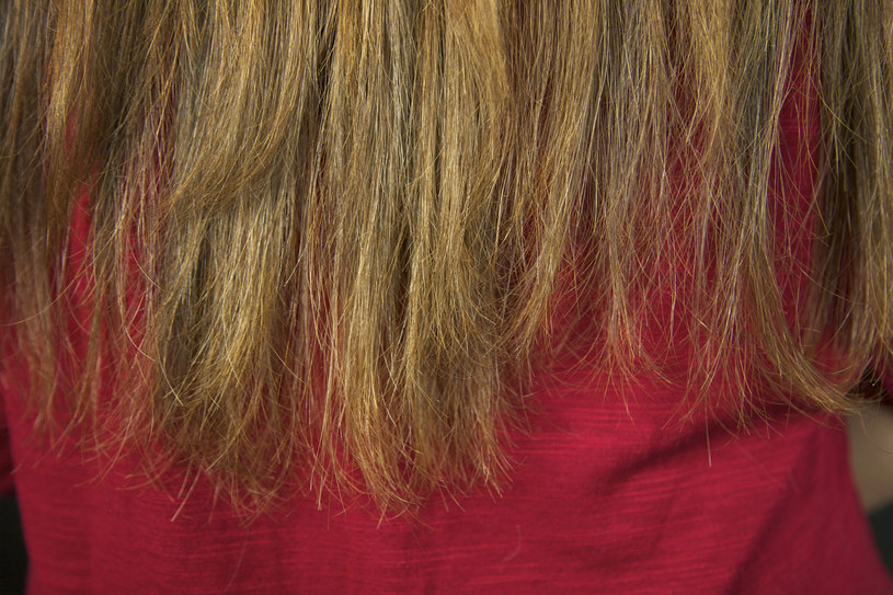 Suche włosy czy rozdwojone końcówki nie wyglądają dobrze, zwłaszcza na długich włosach /123RF/PICSEL