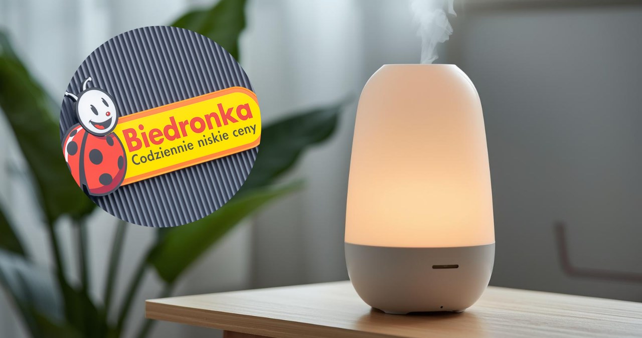Sucho w mieszkaniu? Ten nawilżacz z Biedronki pomoże i pięknie pachnie! /Canva Pro /INTERIA.PL
