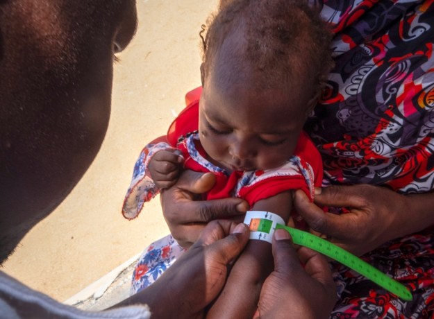 Sudan może paść ofiarą najgorszego kryzysu żywnościowego w ostatnich dekadach /STRINGER /PAP/EPA