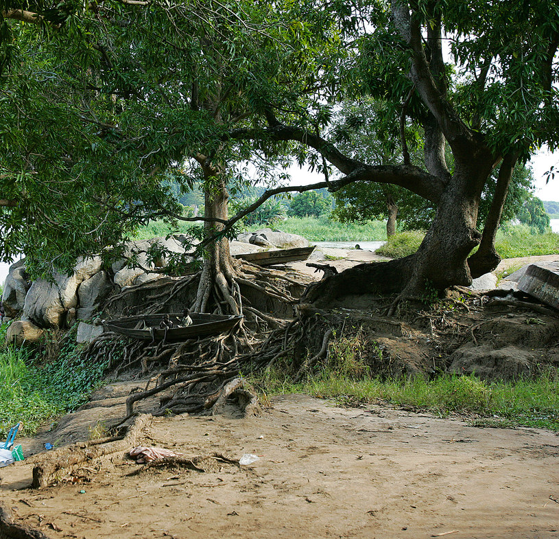 Sudan Południowy, Dżuba, 22.11.2006. Okolice obozu dla uchodźców, chrześcijan, którzy przybyli z terenów objętych walkami z muzułmanami /Krzysztof Miller /.