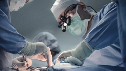 Sukces czy porażka? Po przeszczepie nerki świni - powrót na dializy