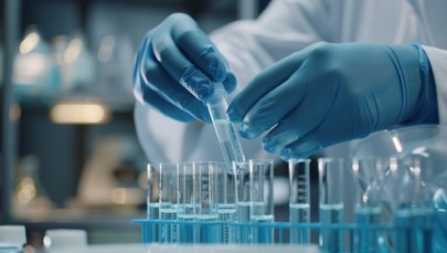 Sukces hiszpańskich naukowców. Odkrycie, które może rozpocząć nową erę w transplantologii