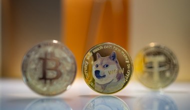 Sukces memecoina. "Pieseł" podrożał w doborowym towarzystwie