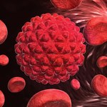 Sukces polskich naukowców w ochronie przed nowotworami