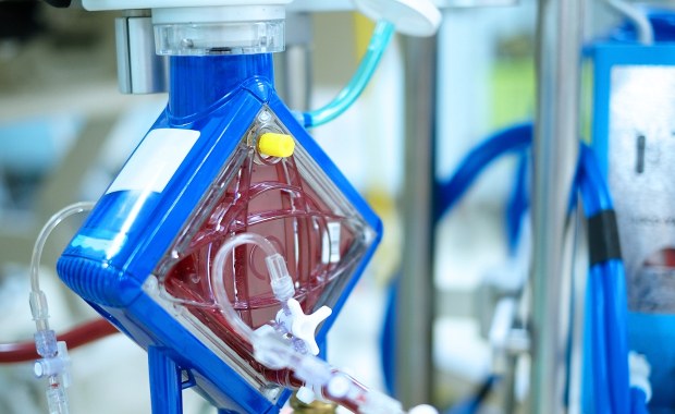 Sukces warszawskich lekarzy. Rekordowe ECMO i przeszczep uratowały 18-latka