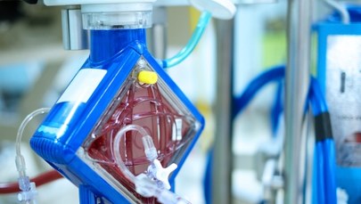 Sukces warszawskich lekarzy. Rekordowe ECMO i przeszczep uratowały 18-latka