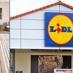 Sukienka za 20 zł z Lidla robi furorę! Prosty krój, który pasuje każdej kobiecie