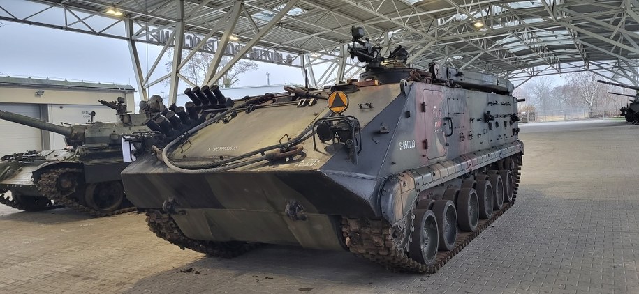 SUM KALINA /Beniamin Piłat /RMF FM