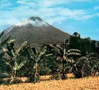 Sumatra, plantacja bananów pod wulkanem, okolice Medan /Encyklopedia Internautica