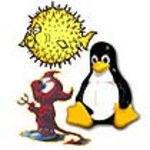 Sun blokuje OpenBSD?