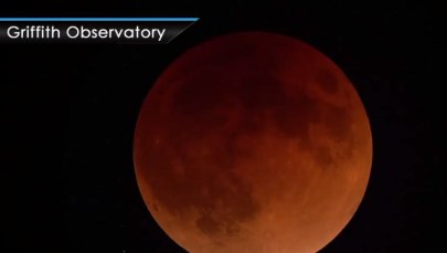"Super Blue Blood Moon". Taki Księżyc zdarza się raz na 150 lat