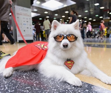 Superbohater i jego pies. Krypto dołączy do Supermana