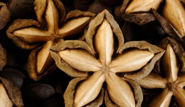 Superfood Inków, który ma ponad 3000 lat. Powstaje z niego najczystszy i najzdrowszy olej