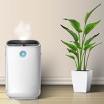 Superroślina oczyści powietrze w twoim domu. Neo P1 to cud bioinżynierii