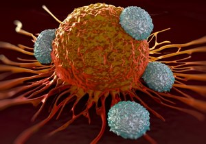 Superzabójcy raka. Odkryli nieznany wcześniej typ komórek odpornościowych