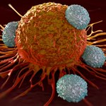 Superzabójcy raka. Odkryli nieznany wcześniej typ komórek odpornościowych