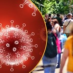 Superzakaźny "Frankenstein" popsuje nam wakacje? W Europie już jest 