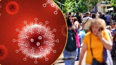 Superzakaźny "Frankenstein" popsuje nam wakacje? W Europie już jest 