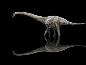 Superzaur – Nowy największy dinozaur na świecie