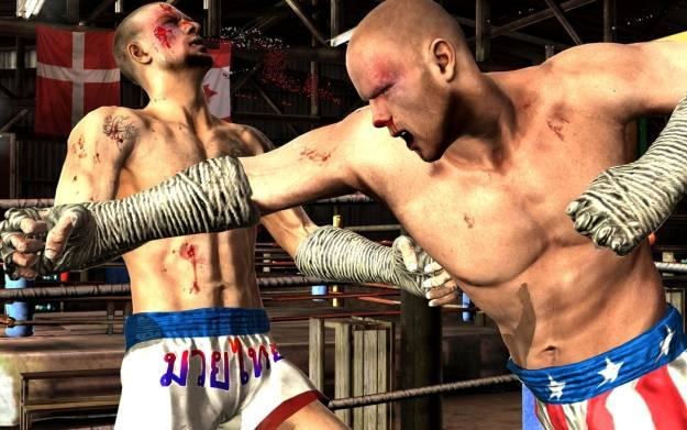 Supremacy MMA - motyw graficzny /Informacja prasowa