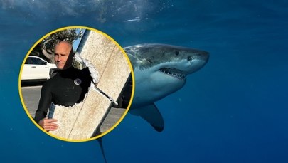 Surfer przeżył spotkanie z rekinem. Zobacz zdjęcie, które obiegło internet