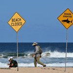 ​Surfer zmarł po ataku rekina. Miasto zamyka plaże