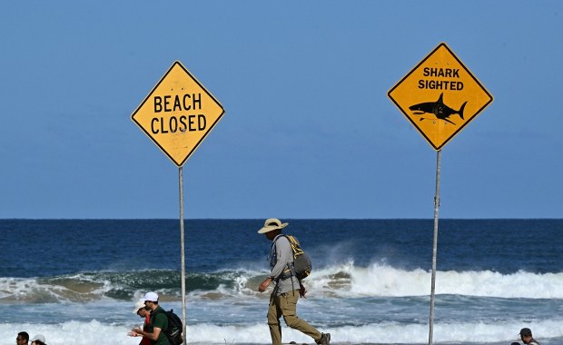 ​Surfer zmarł po ataku rekina. Miasto zamyka plaże