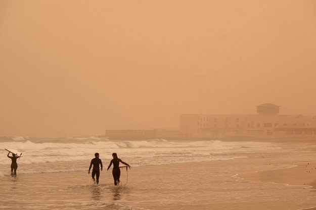 Surferzy na Fuertaveturze /CARLOS DE SAA /PAP/EPA