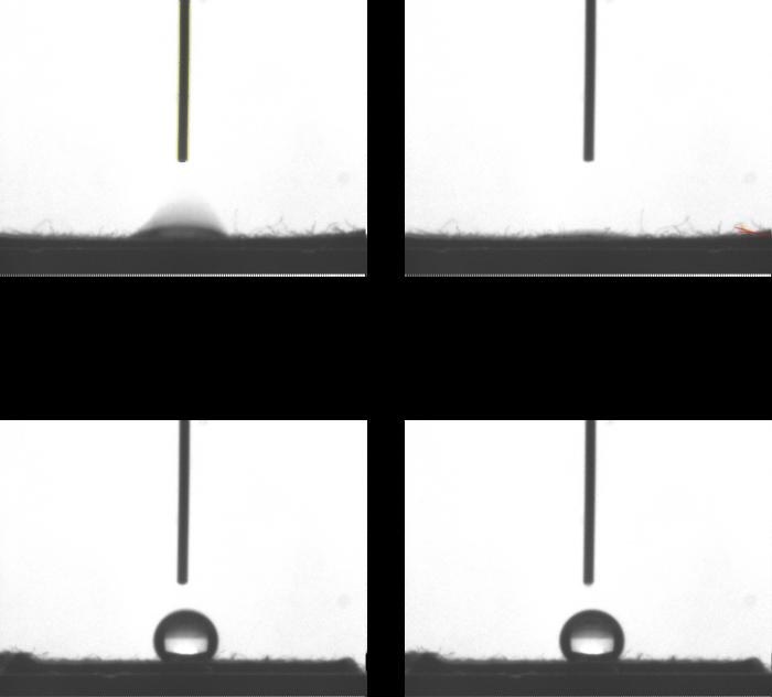 Surowa bawełna szybko wchłania wodę (u góry), po poddaniu działaniu ECSO zyskuje włąsności hydrofobowe (na dole). /Richard Venditti /Materiały prasowe