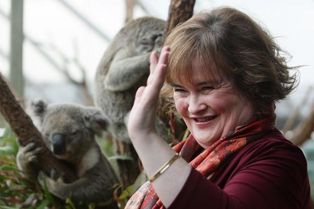 Susan Boyle i misie - fot. Lisa Maree Williams /Getty Images/Flash Press Media
