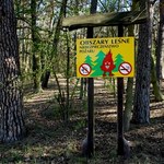 Susza daje się we znaki: W polskich lasach wzrosło zagrożenie pożarowe